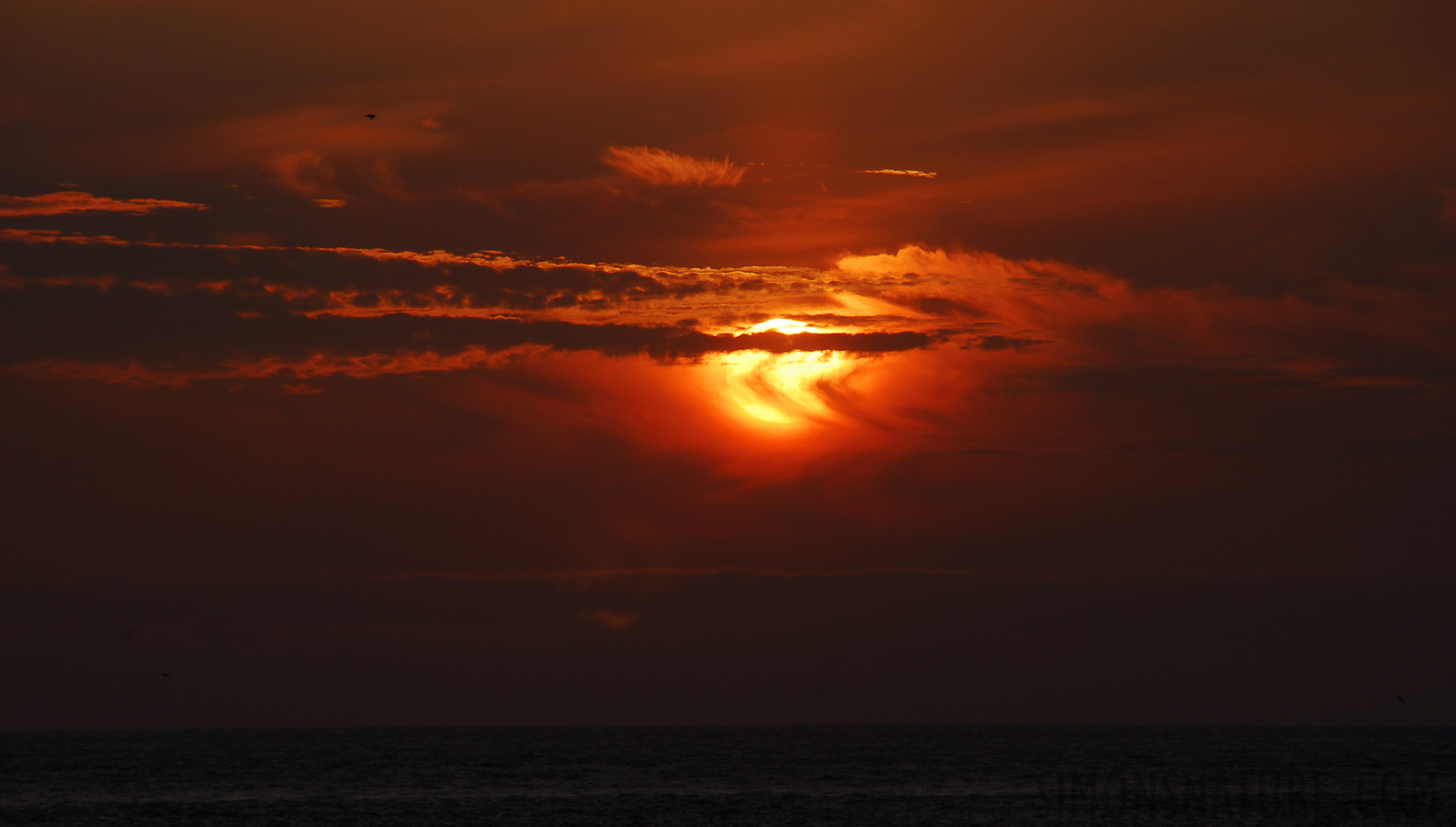 North Seymour Island [200 mm, 1/200 Sek. bei f / 11, ISO 100]